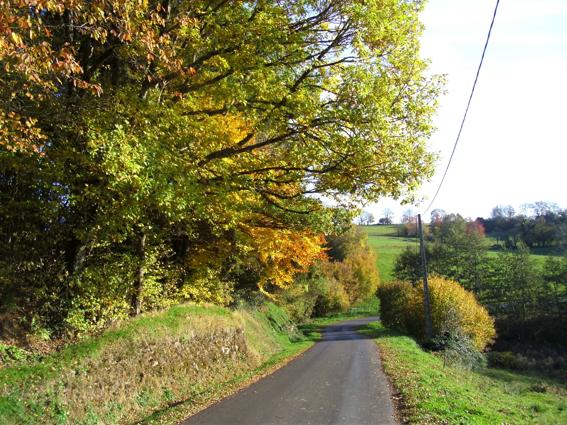Promenade aux alentours