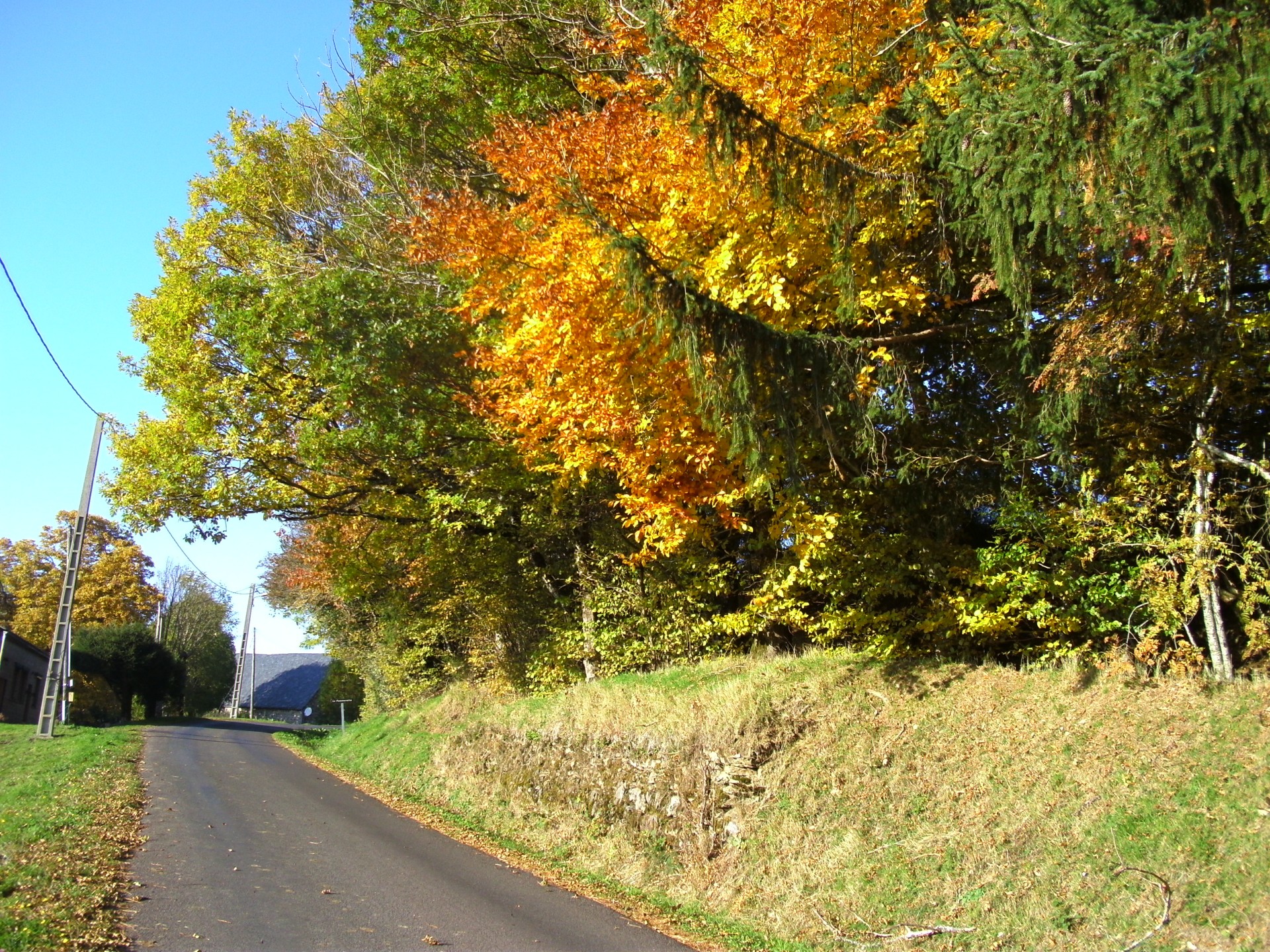 Promenade aux alentours