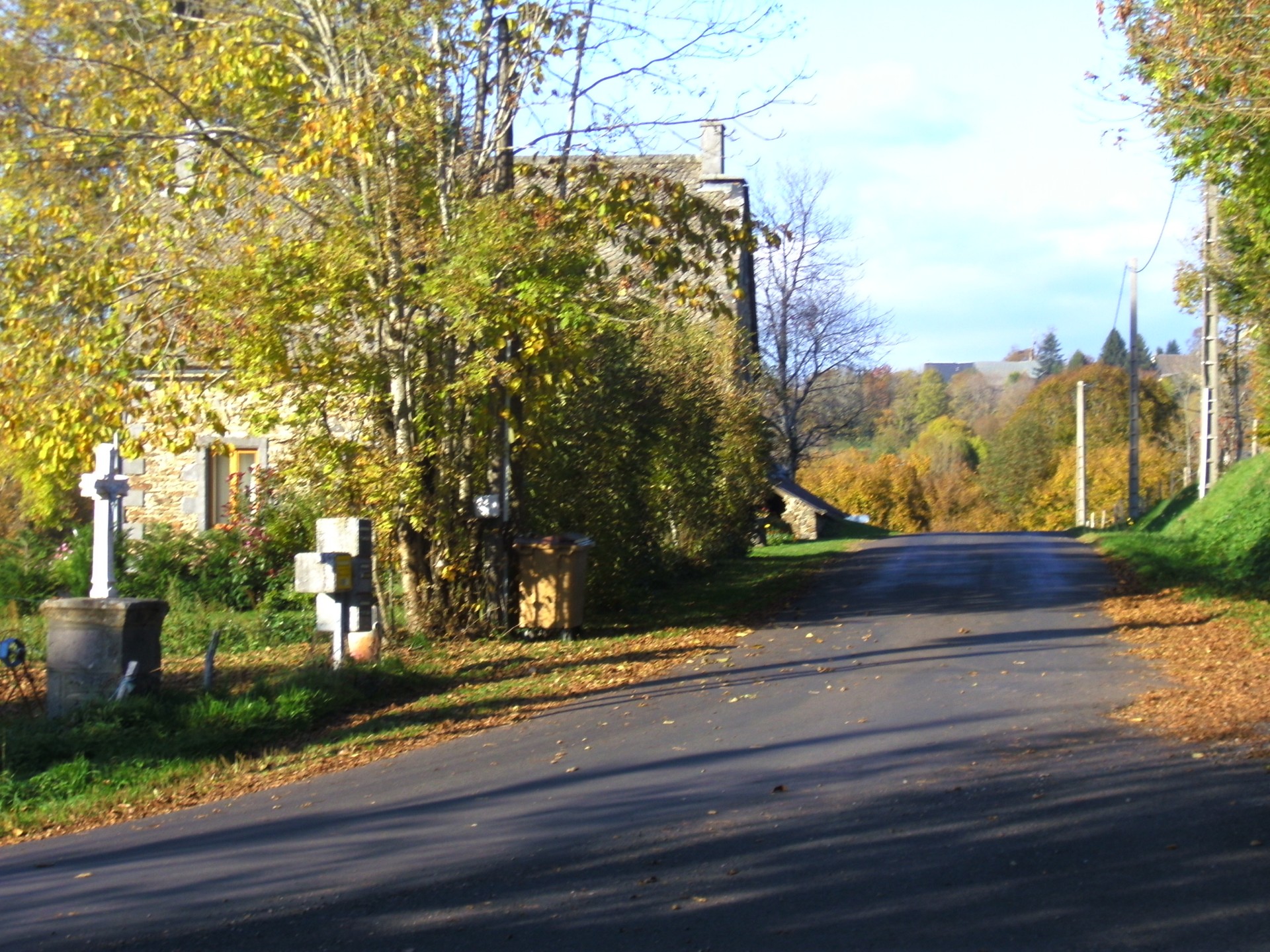 Ardot